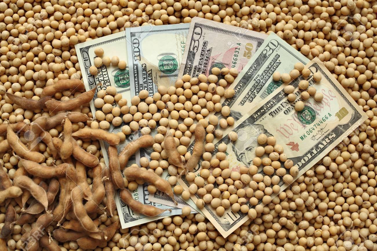 soja dolar